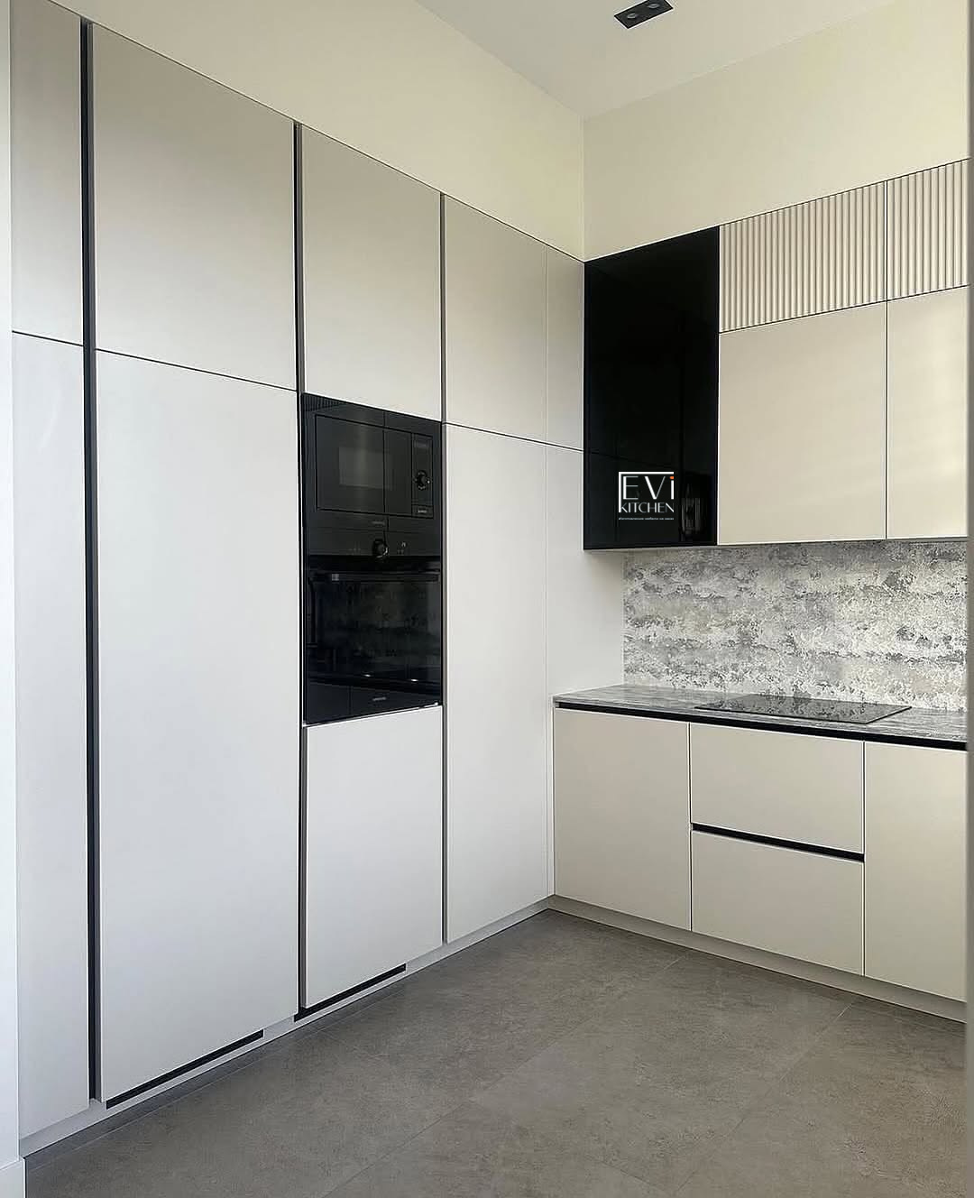 evi-205_2-1.jpg