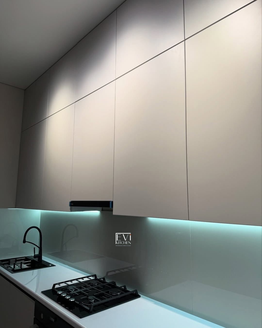 evi-310_6-1.jpg